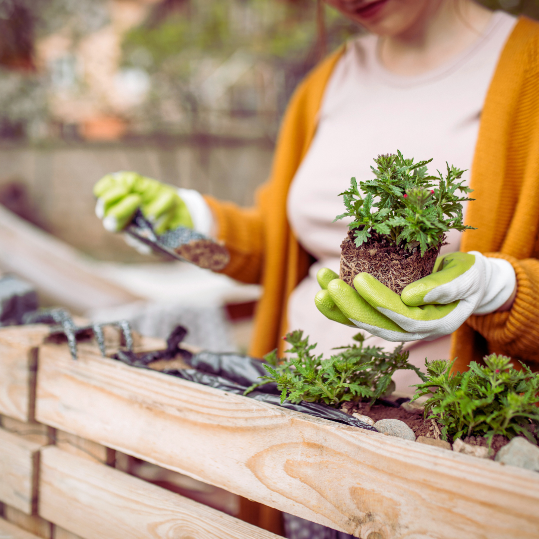 Unique Hobbies You Should Try for Personal Growth and Enjoyment